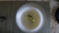 DSC01771.JPG