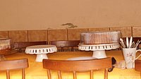DSC01954.JPG